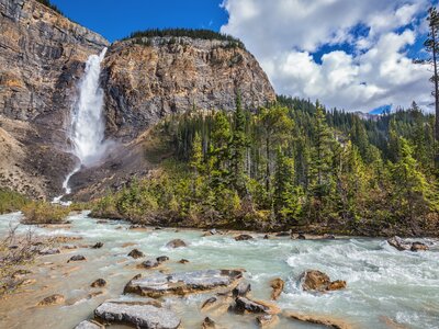 Takakkaw falls full-flowing waterfall creating river with tall pine trees in distance, Yoho National Park, Canada